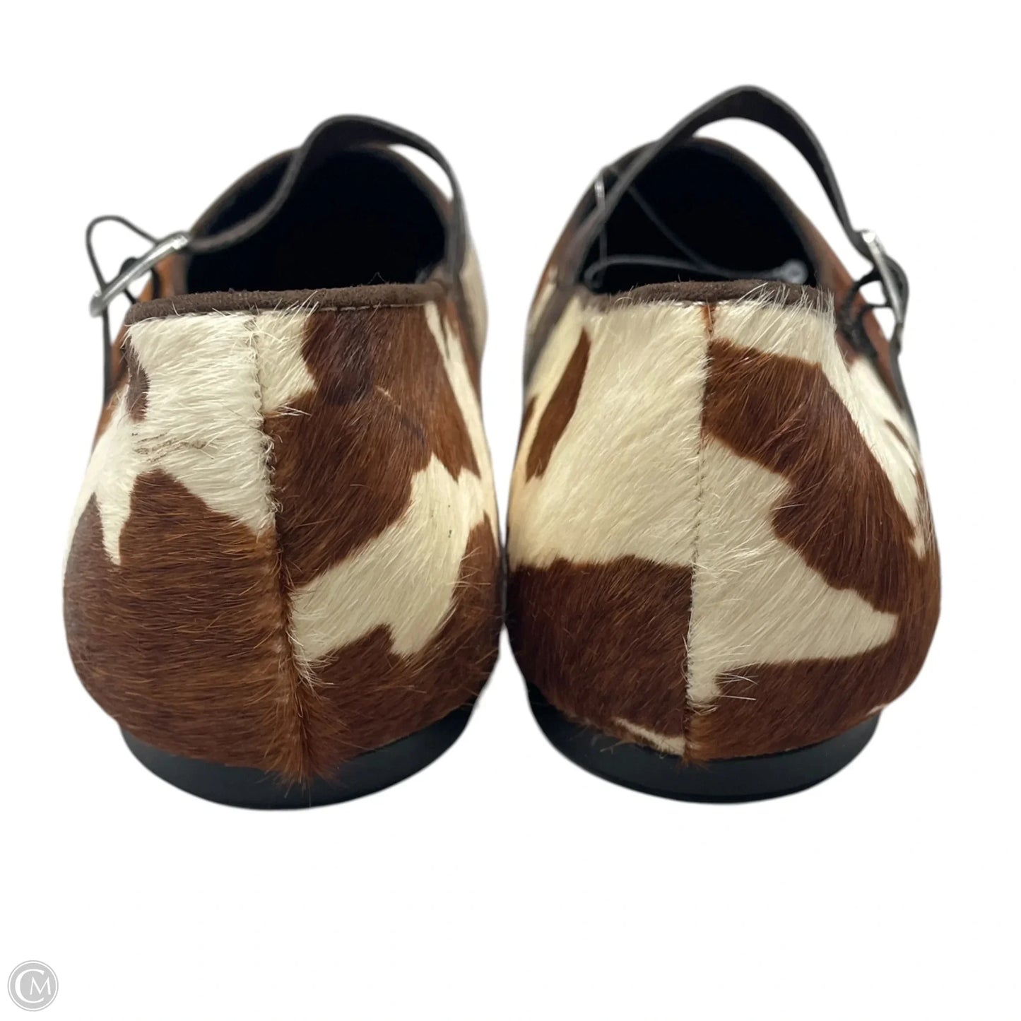 Shoes Flats By Gap In Animal Print, Size: 8