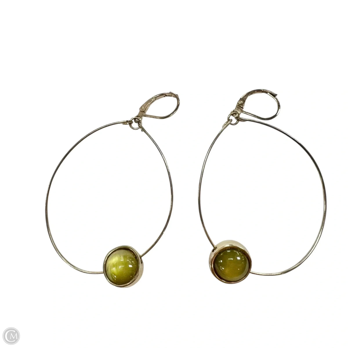 Earrings Dangle/drop
