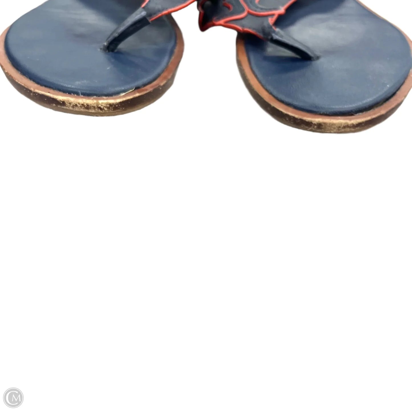 Sandals Designer By Tory Burch In Navy, Size: 6