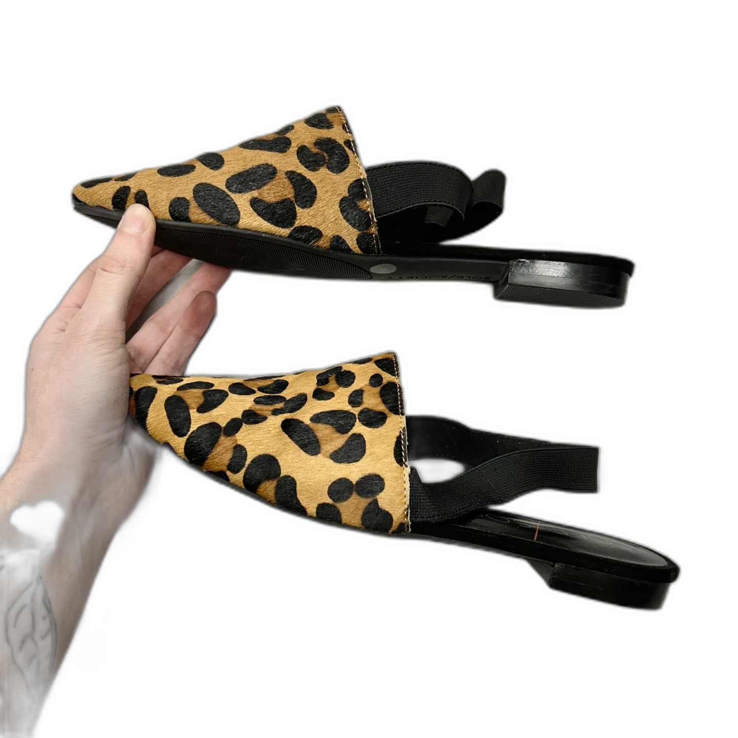 Shoes Flats By Sole Society In Leopard Print, Size: 6.5