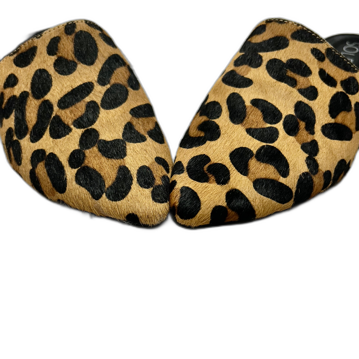 Shoes Flats By Sole Society In Leopard Print, Size: 6.5