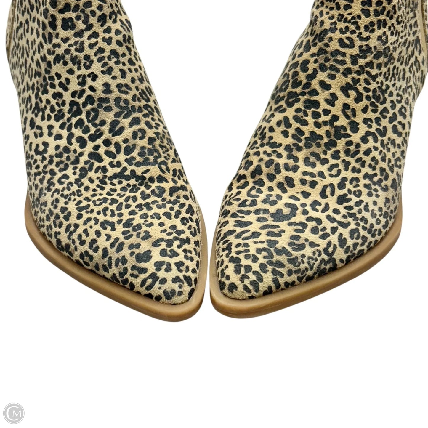 Boots Ankle Heels By Dolce Vita In Leopard Print, Size: 7