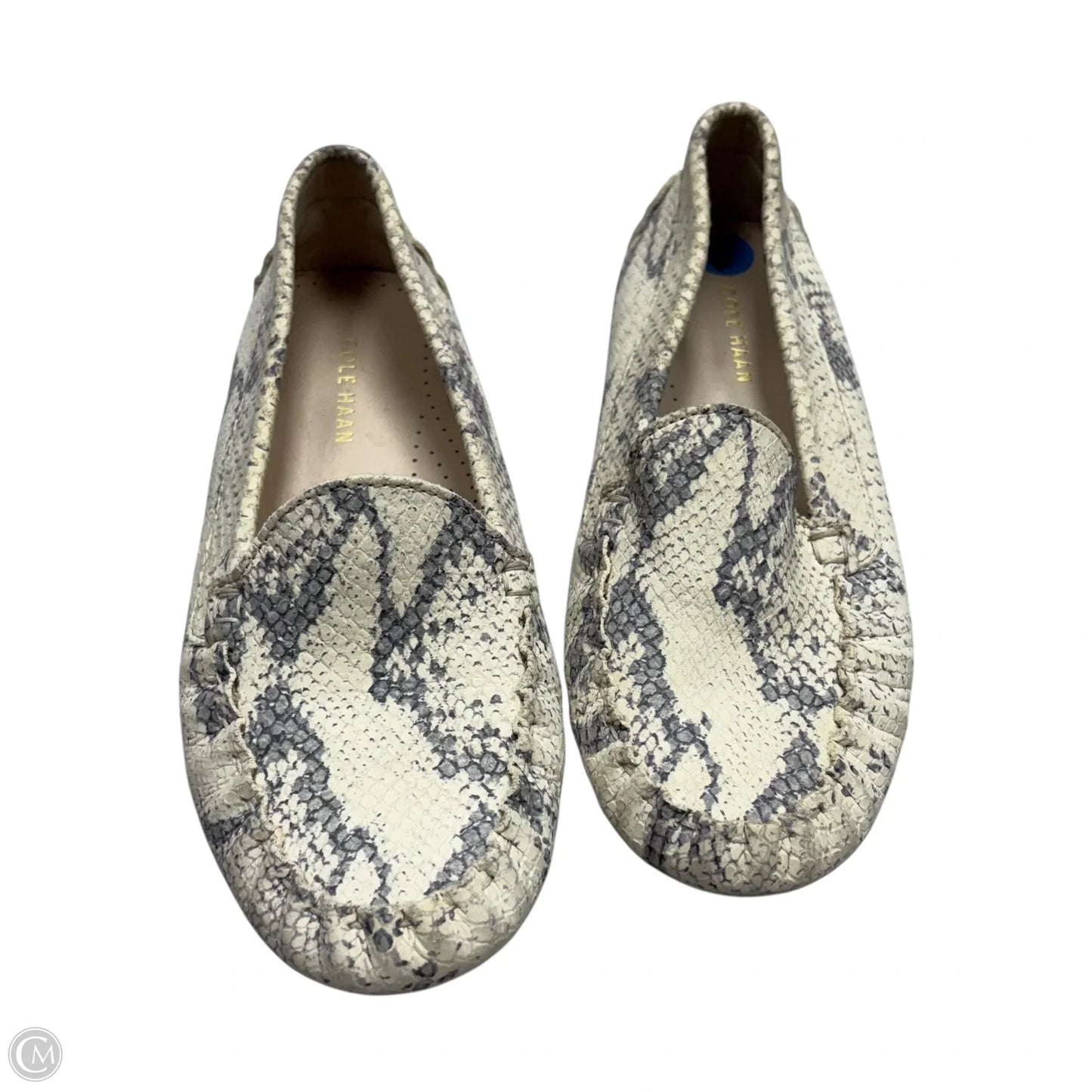 Shoes Flats By Cole-haan In Snakeskin Print, Size: 6