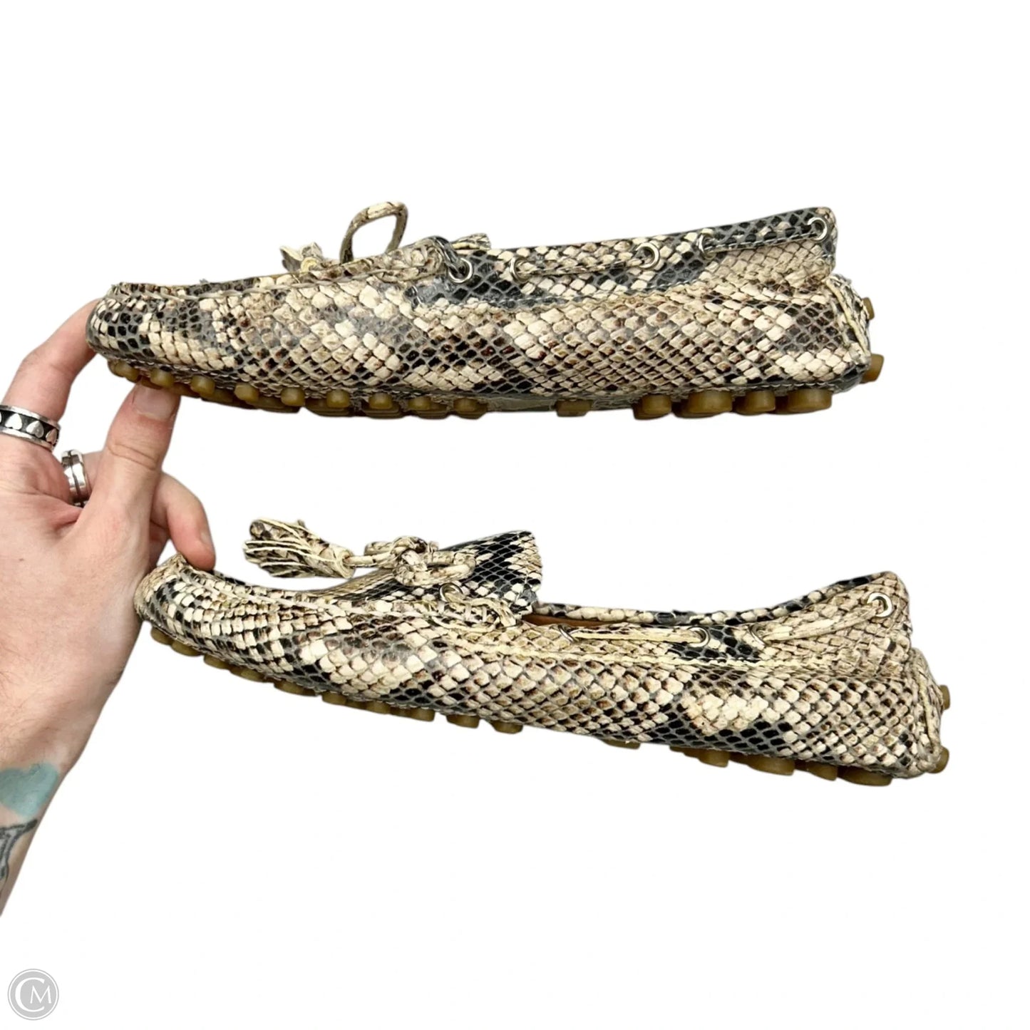 Shoes Designer By Coach In Snakeskin Print, Size: 5