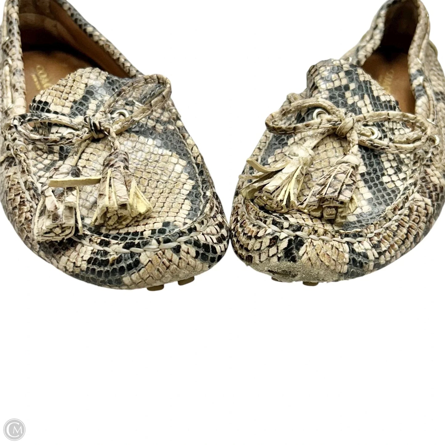 Shoes Designer By Coach In Snakeskin Print, Size: 5