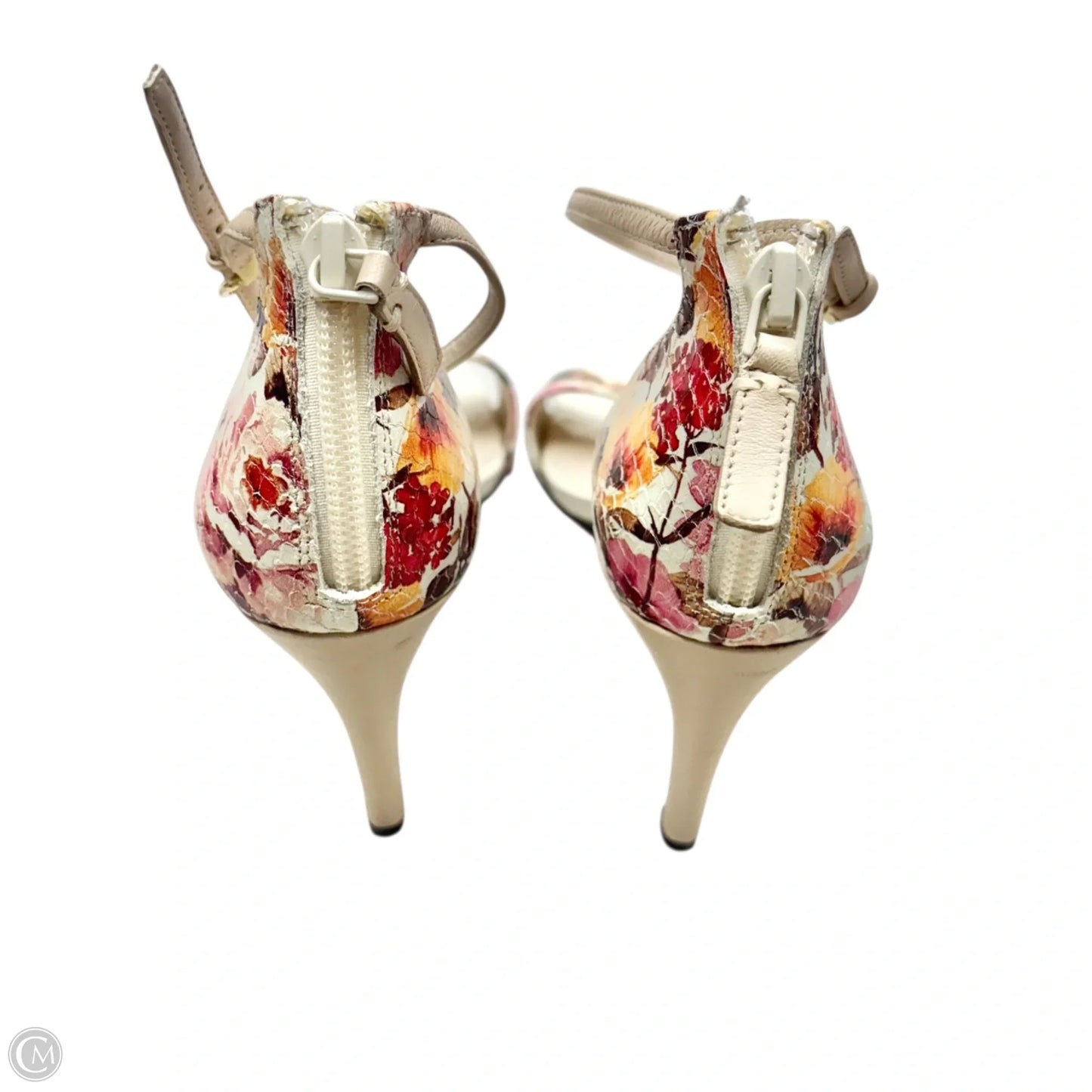 Sandals Heels Stiletto By Cole-haan In Floral Print, Size: 6