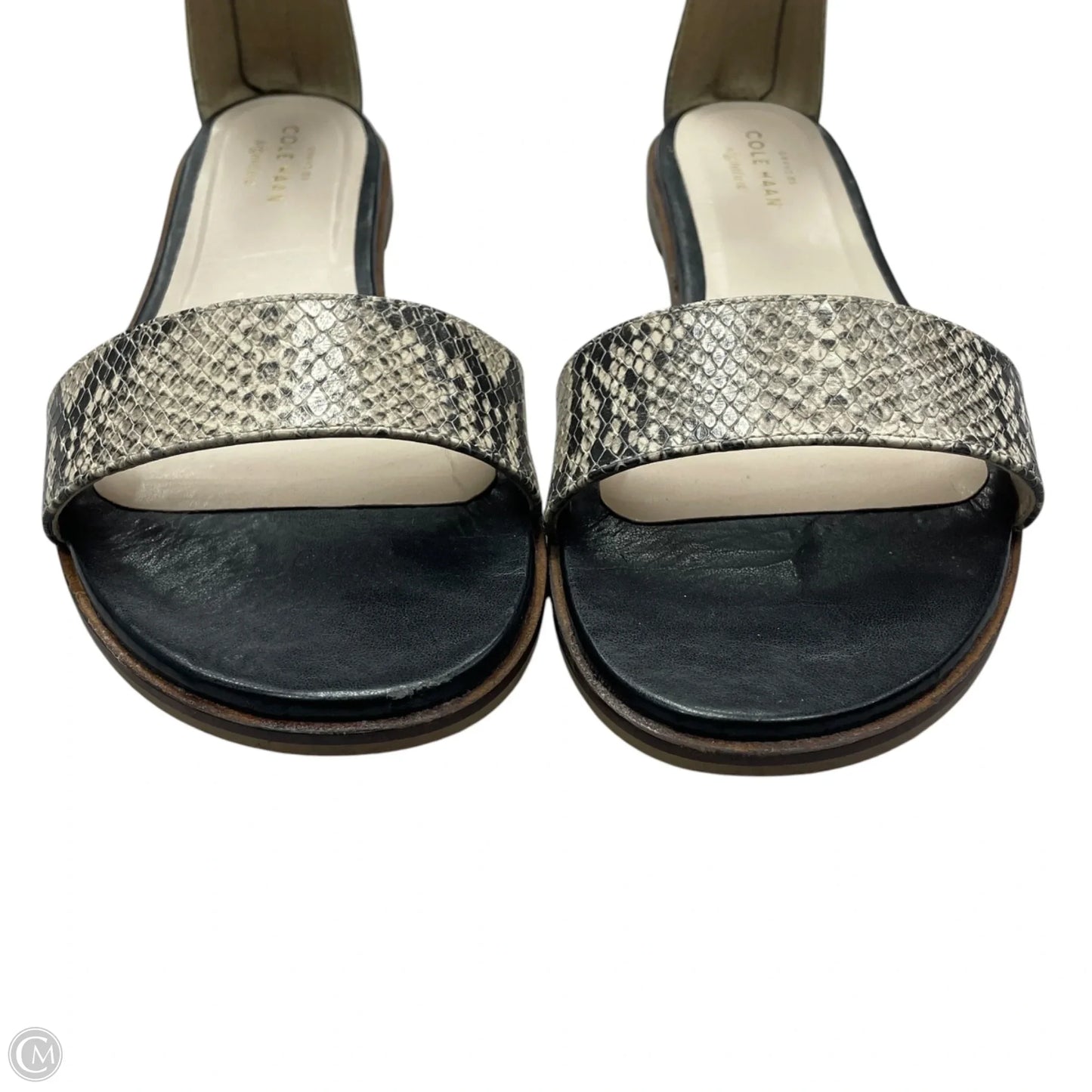 Sandals Flats By Cole-haan In Snakeskin Print, Size: 10