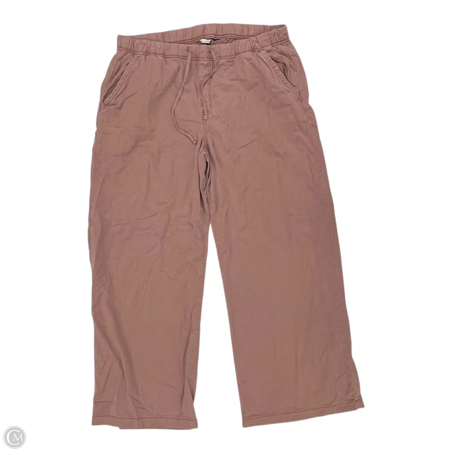 Pants Cargo & Utility By American Eagle In Brown, Size: Xl