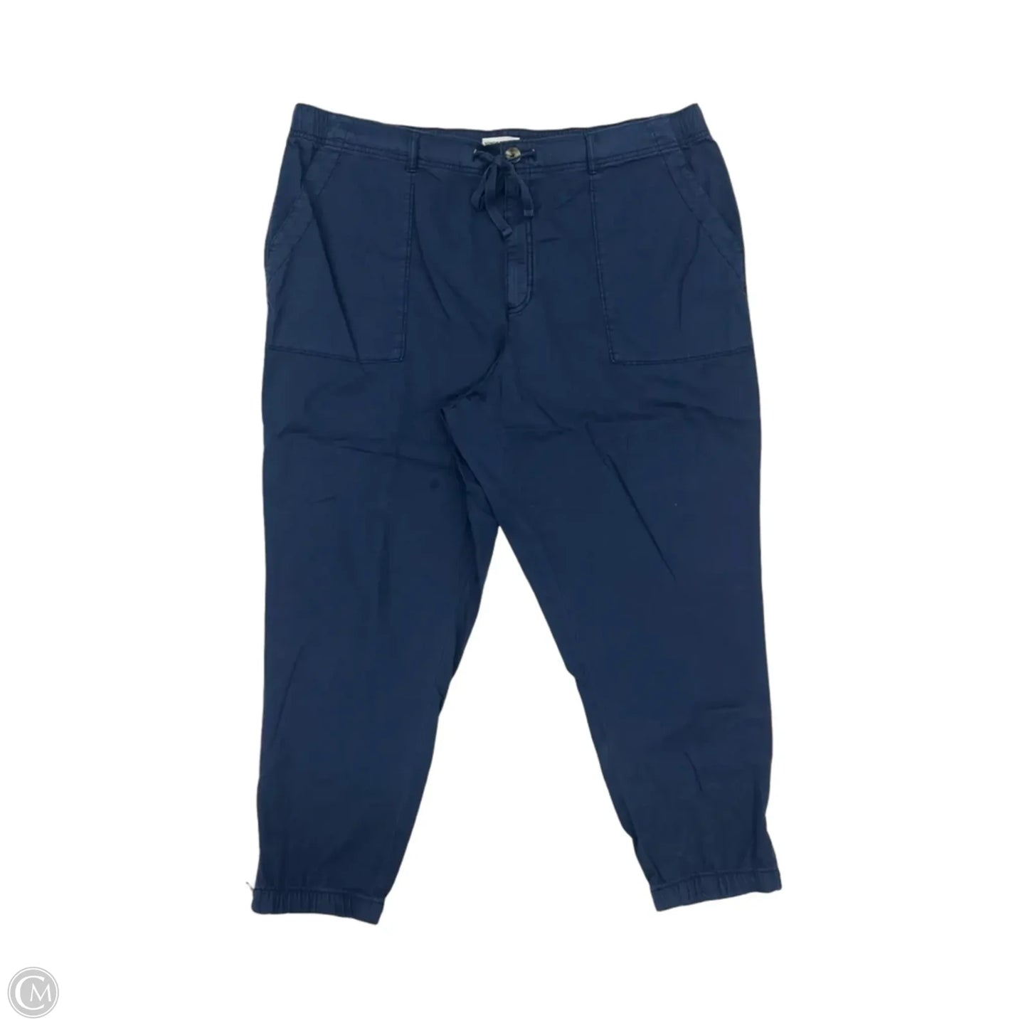 Pants Cargo & Utility By Sonoma In Navy, Size: 2x