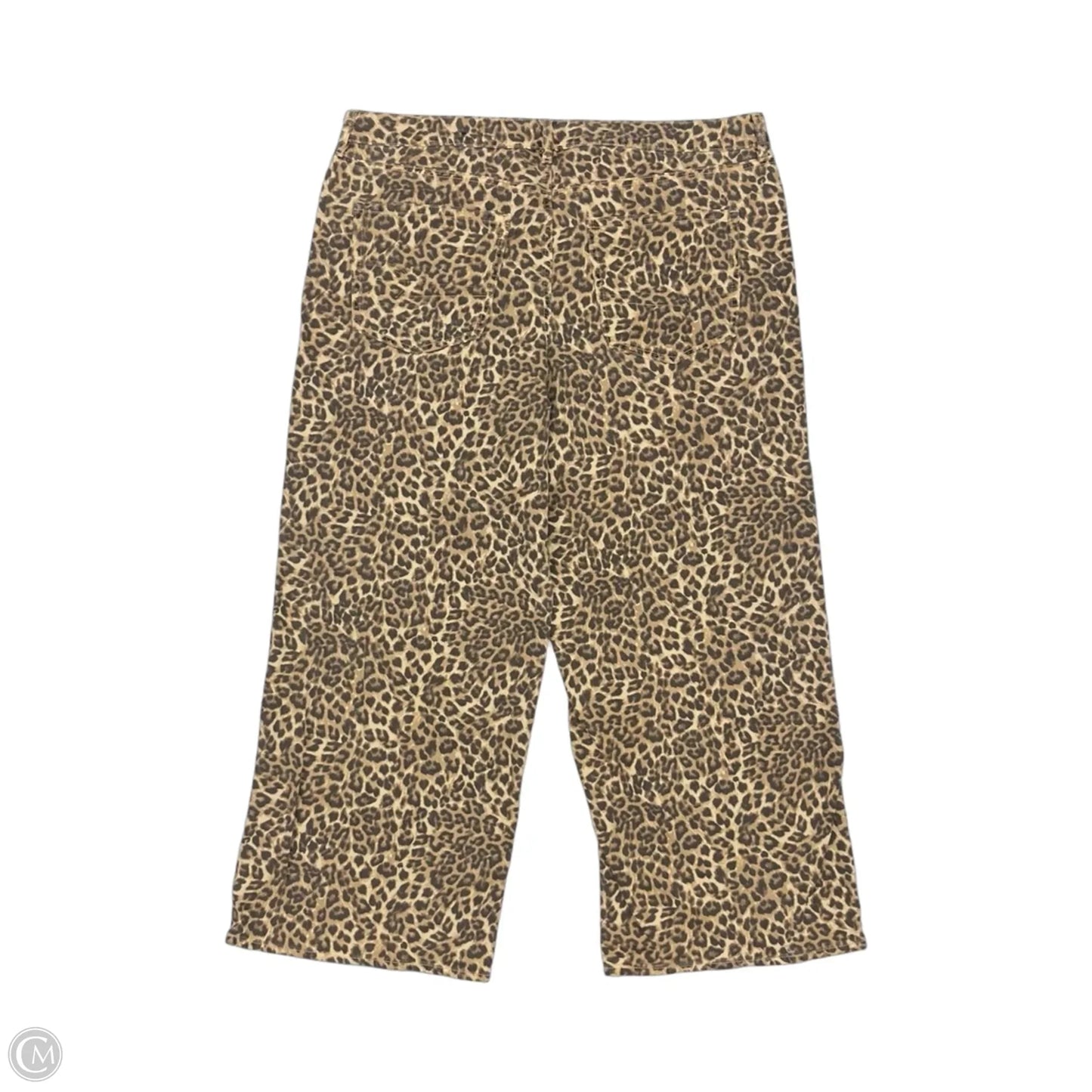 Pants Wide Leg By American Eagle In Leopard Print, Size: 20