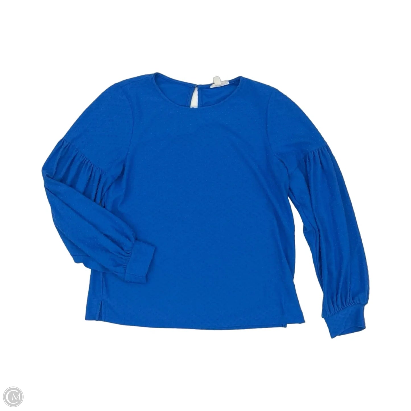 Blouse Long Sleeve By Clothes Mentor In Blue, Size: M