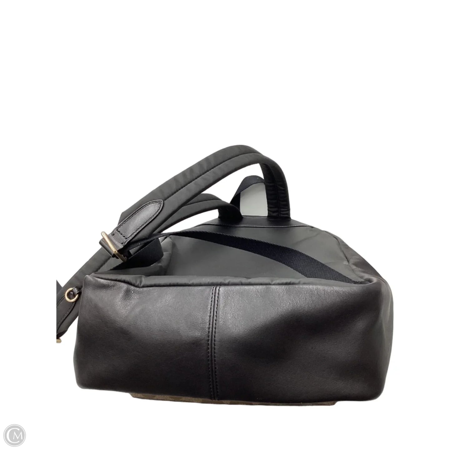 Backpack Designer By Coach, Size: Medium