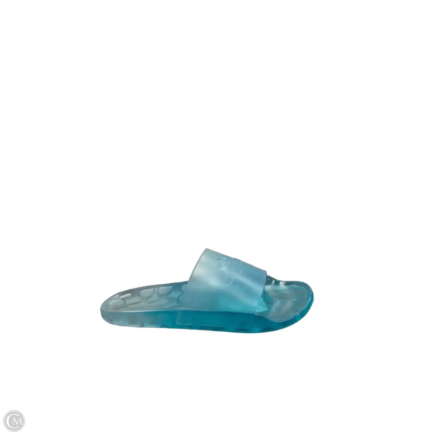Sandals Designer By Coach In Blue, Size: 8