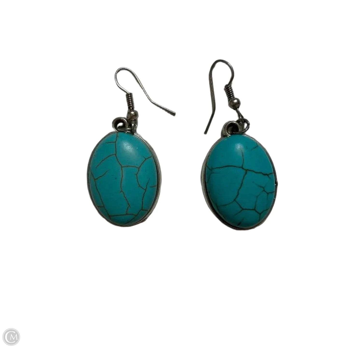 Earrings Dangle/drop By Clothes Mentor