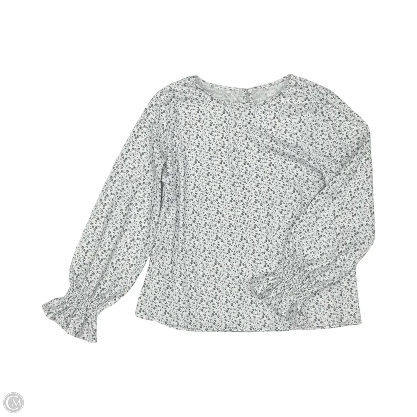 Blouse Long Sleeve By Cmf In Blue & White, Size: L
