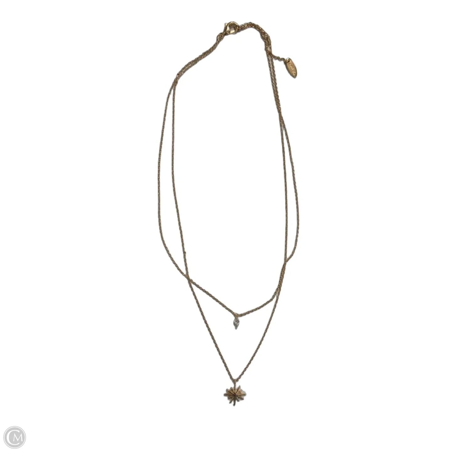 Necklace Layered By Clothes Mentor