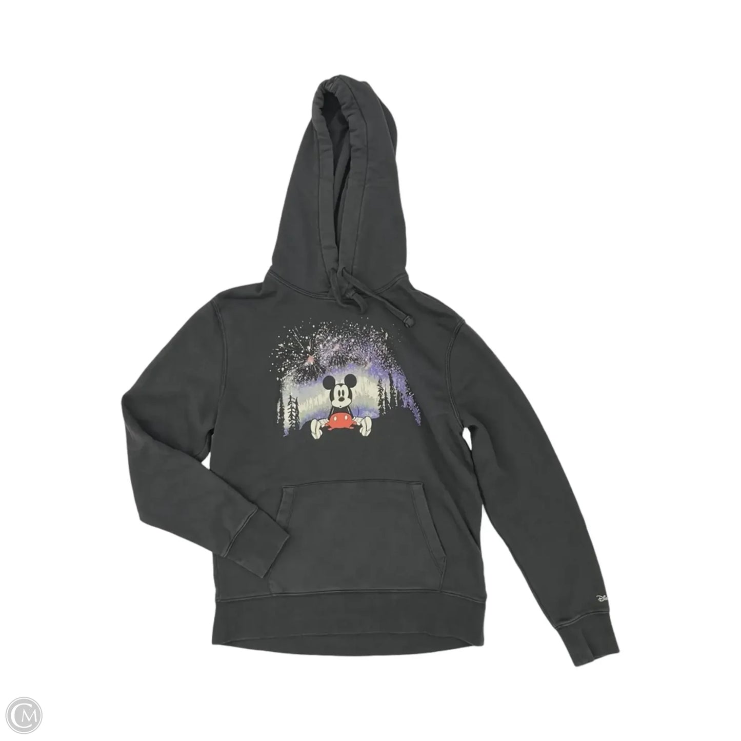 Sweatshirt Hoodie By American Eagle In Grey, Size: S