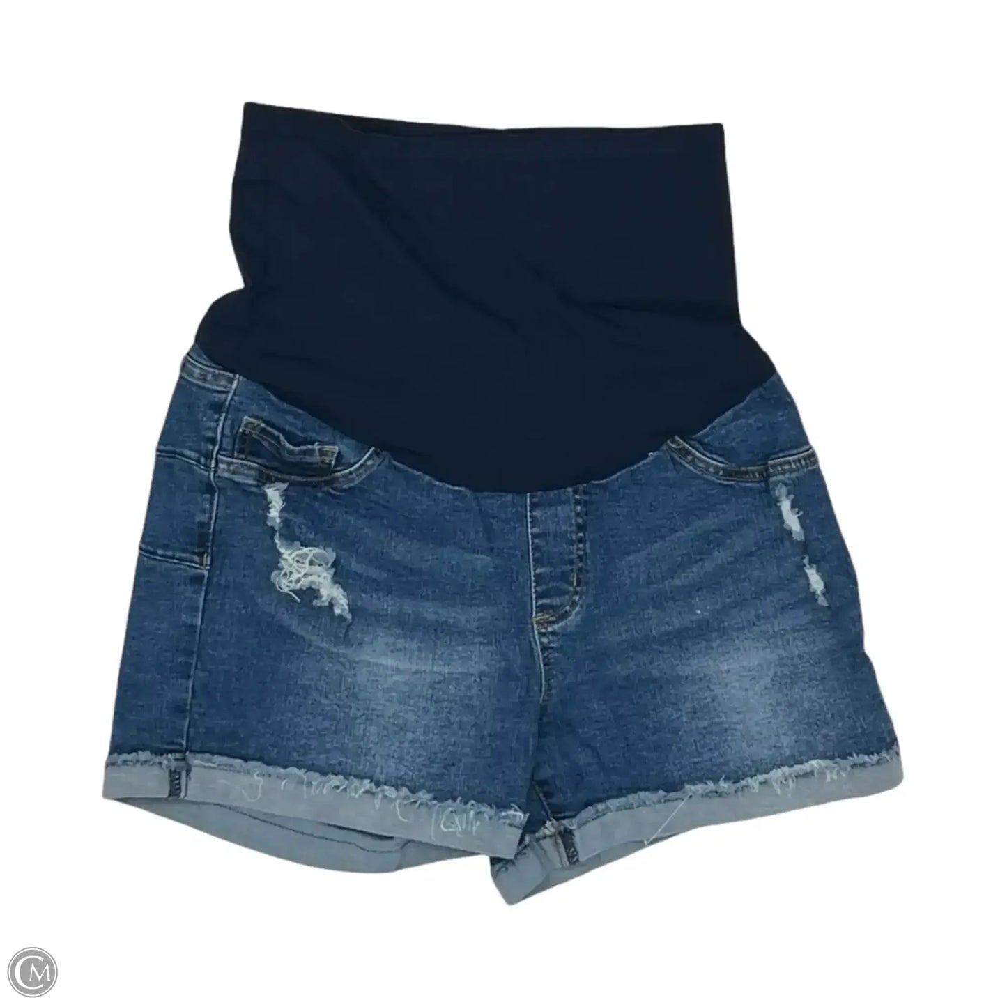 Mat Shorts By Clothes Mentor, Size: L