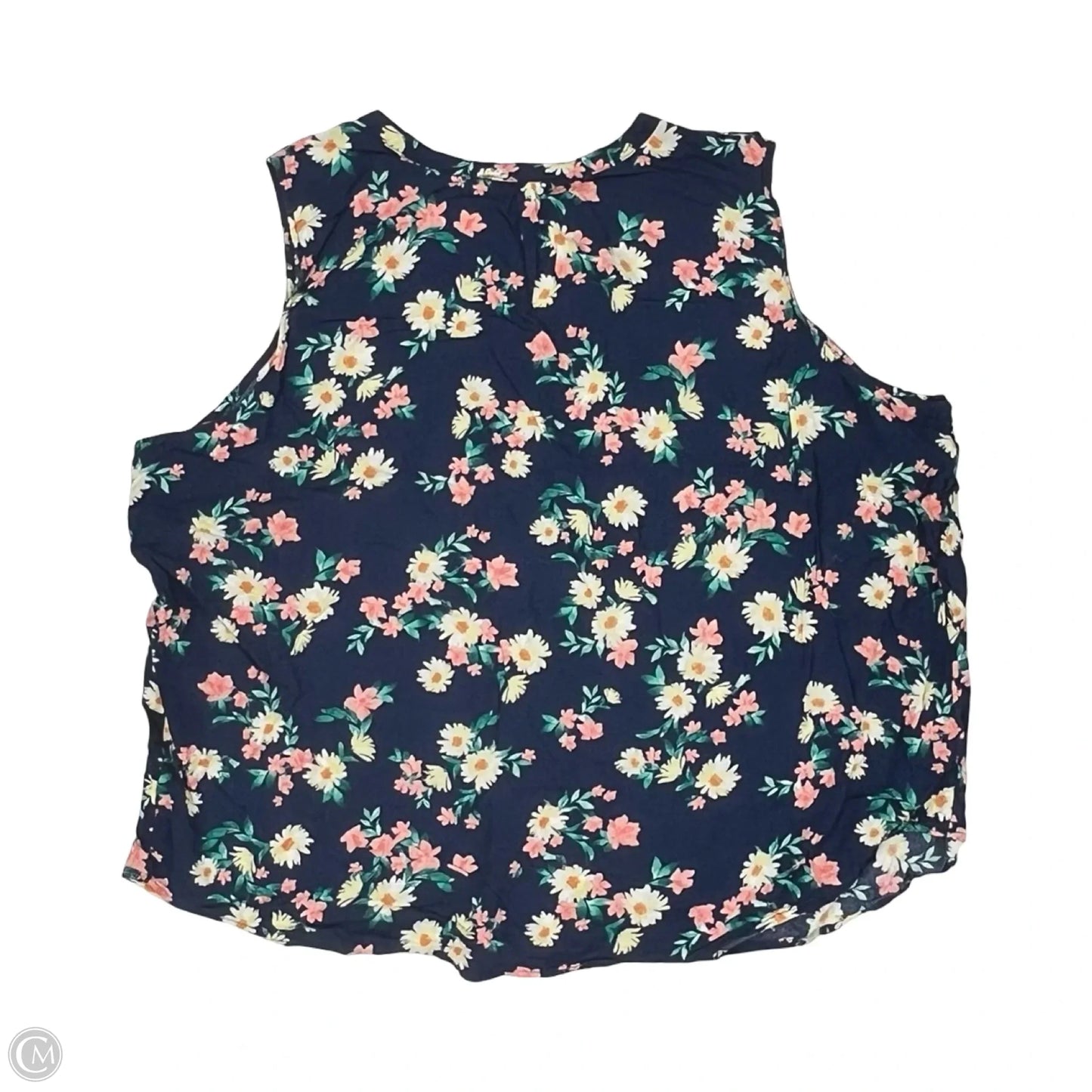Top Sleeveless By Croft And Barrow In Blue, Size: 4x