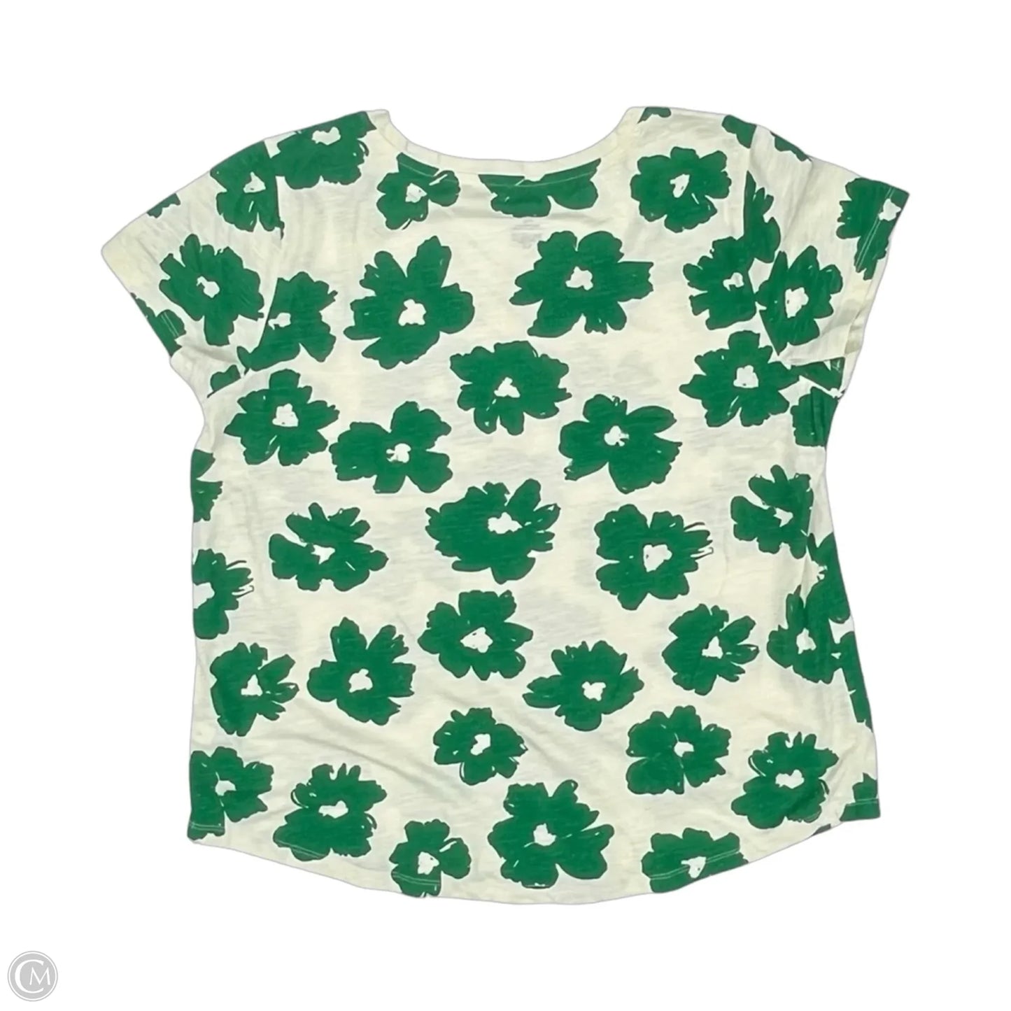 Top Short Sleeve By Sonoma In Cream & Green, Size: Xl