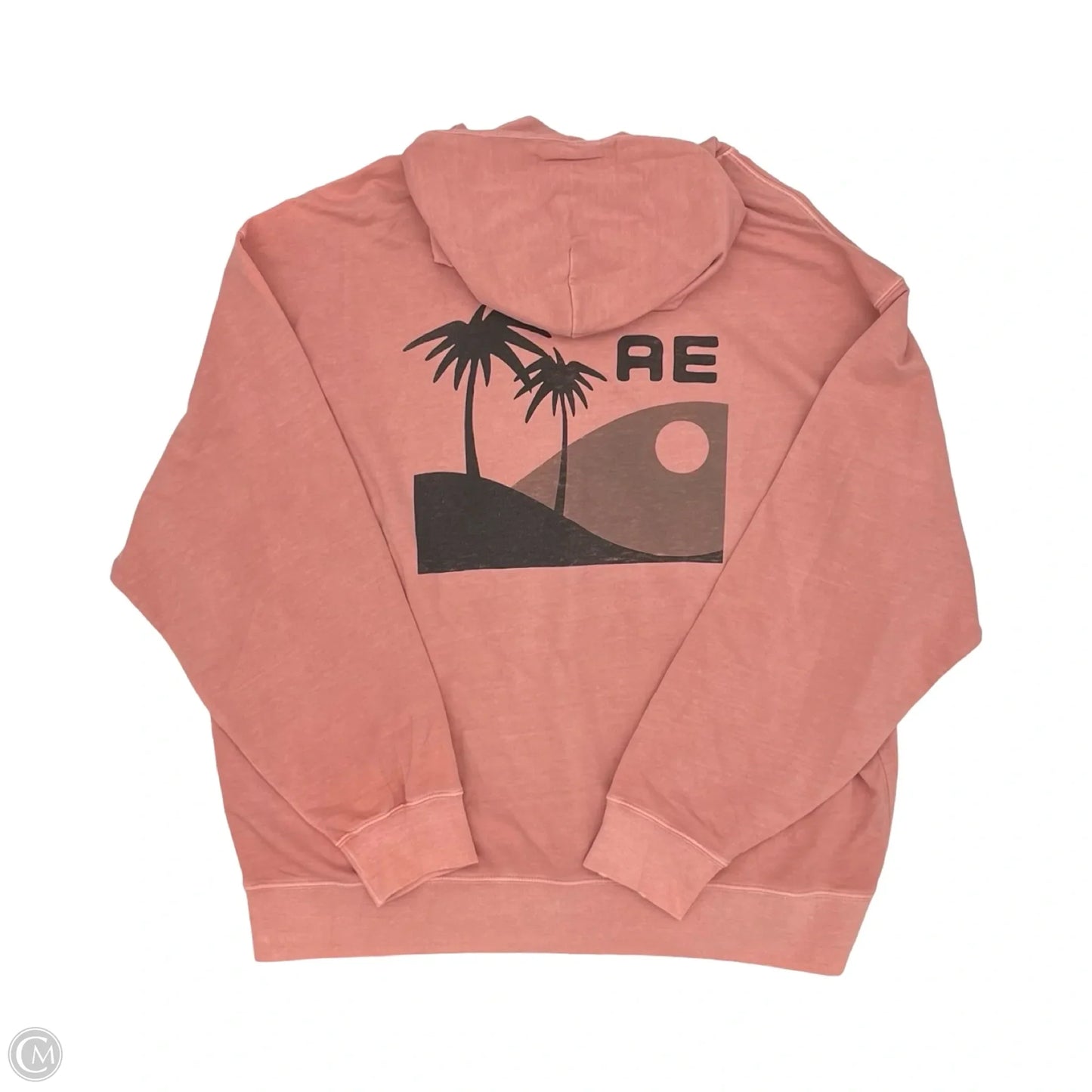 Sweatshirt Hoodie By American Eagle In Pink, Size: Xl