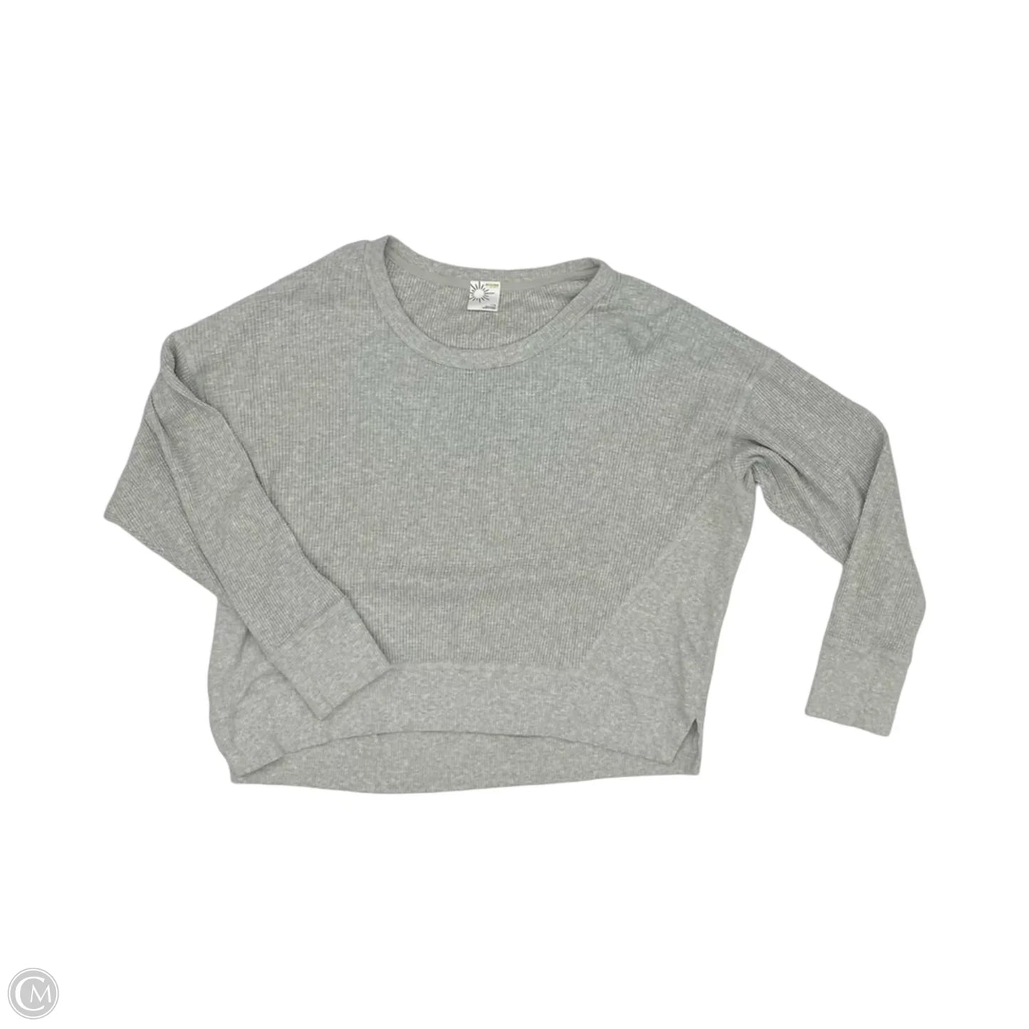 Top Long Sleeve By Aerie In Grey, Size: L