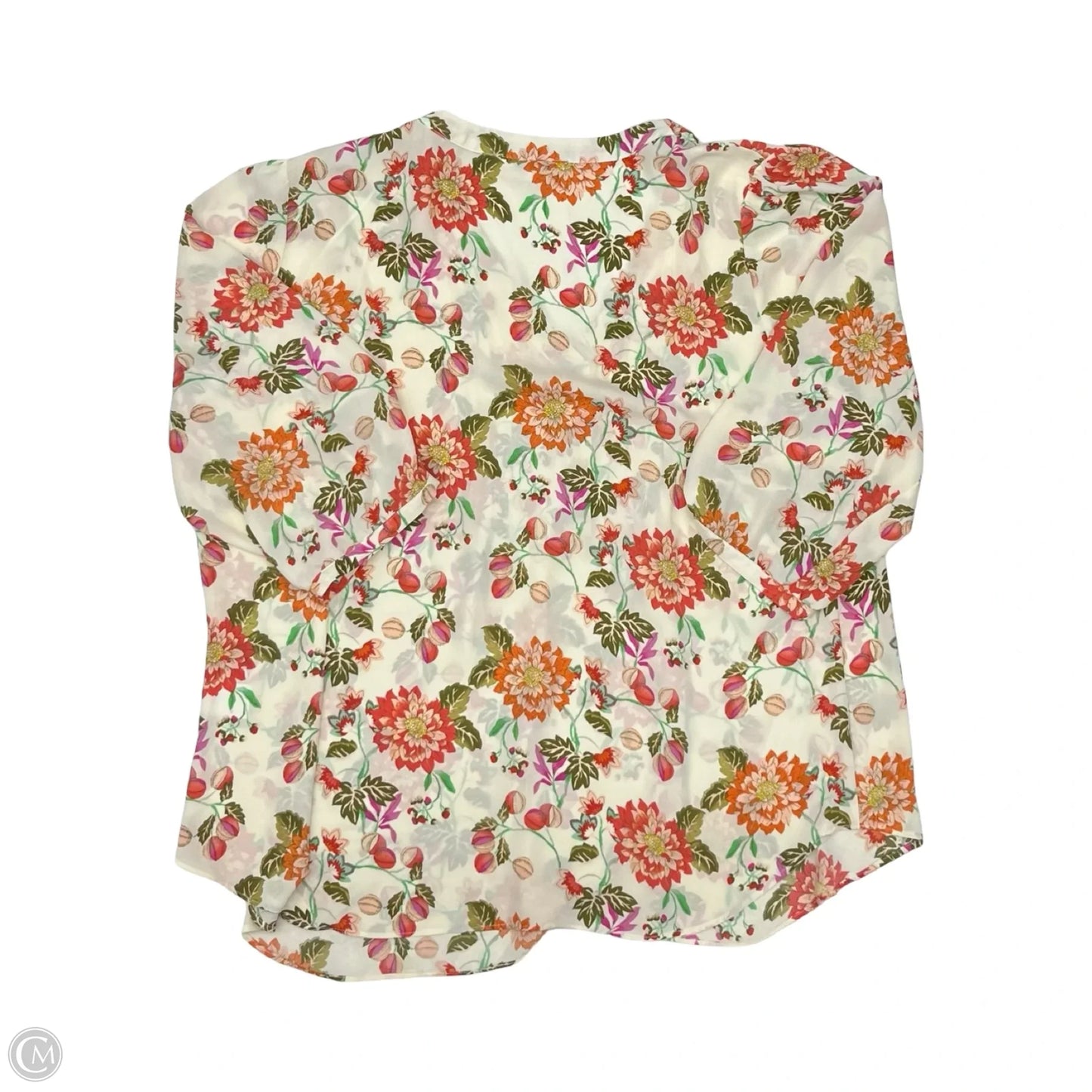 Blouse Long Sleeve By Rose And Olive In Floral Print, Size: 2x