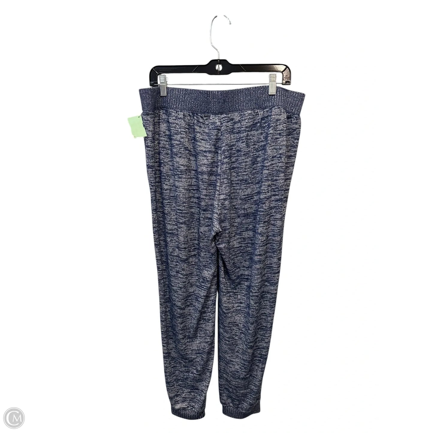 Pants Set 2pc By Zenergy By Chicos In Blue, Size: L