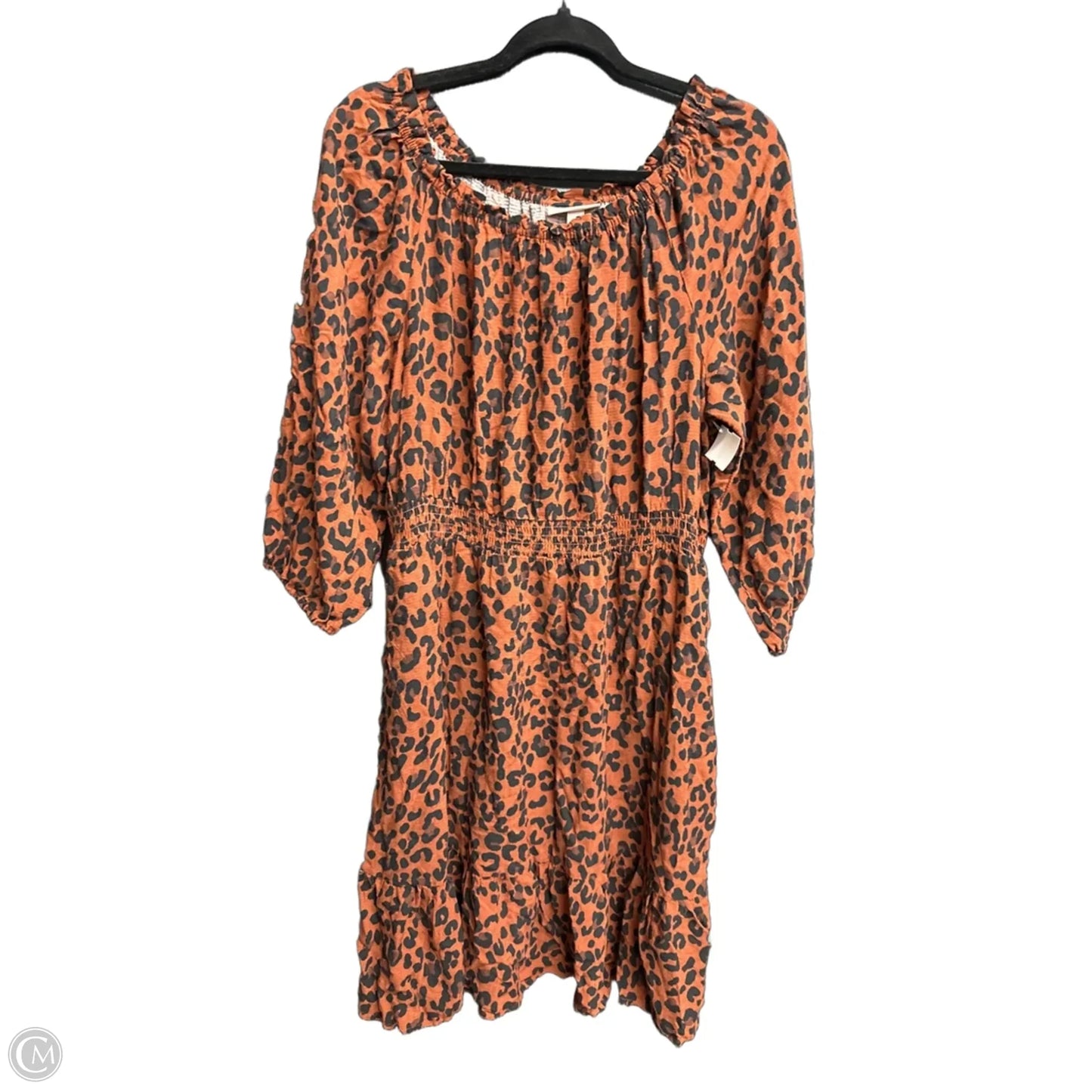 Dress Casual Short By Knox Rose In Leopard Print, Size: L