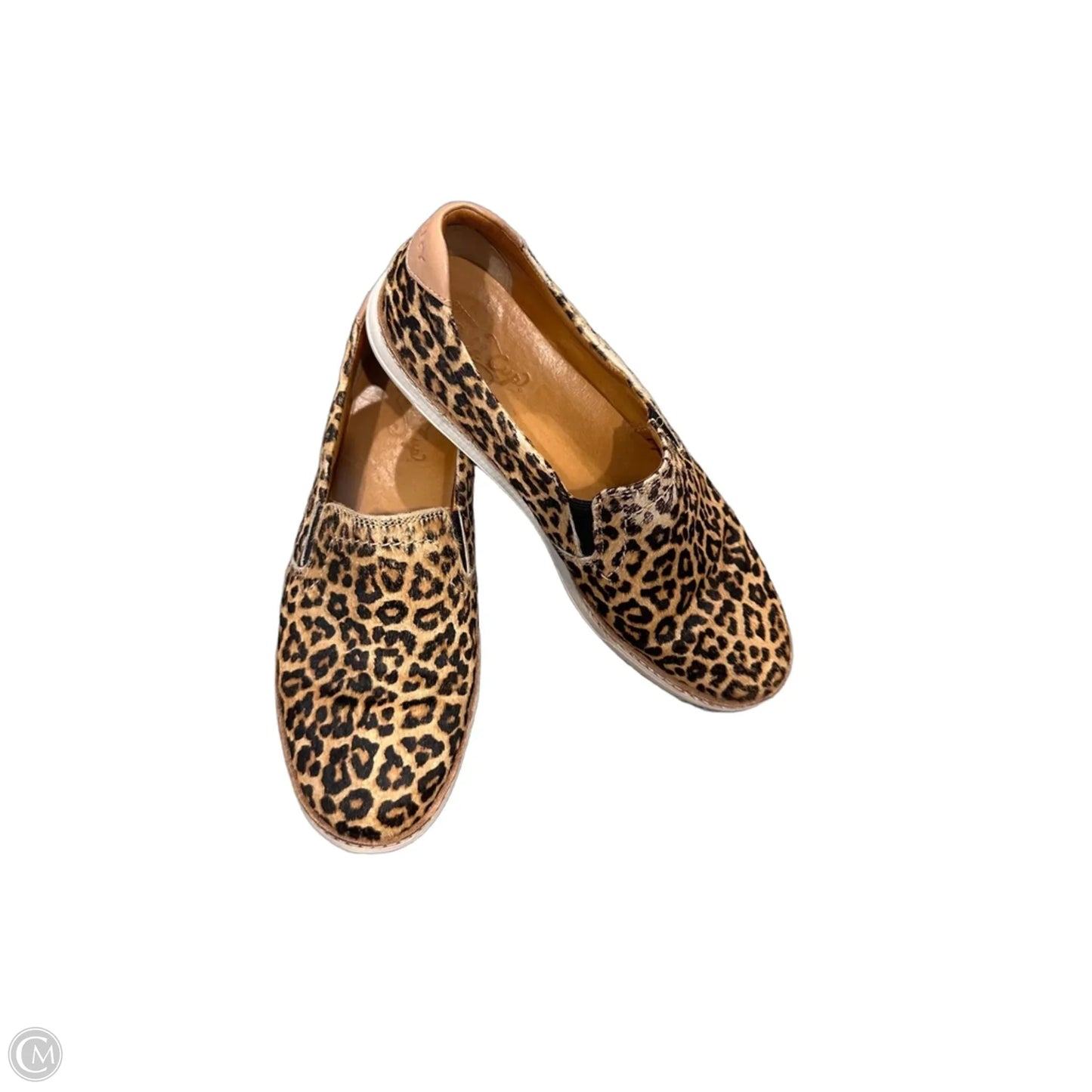 Shoes Flats By Sperry In Animal Print, Size: 7.5