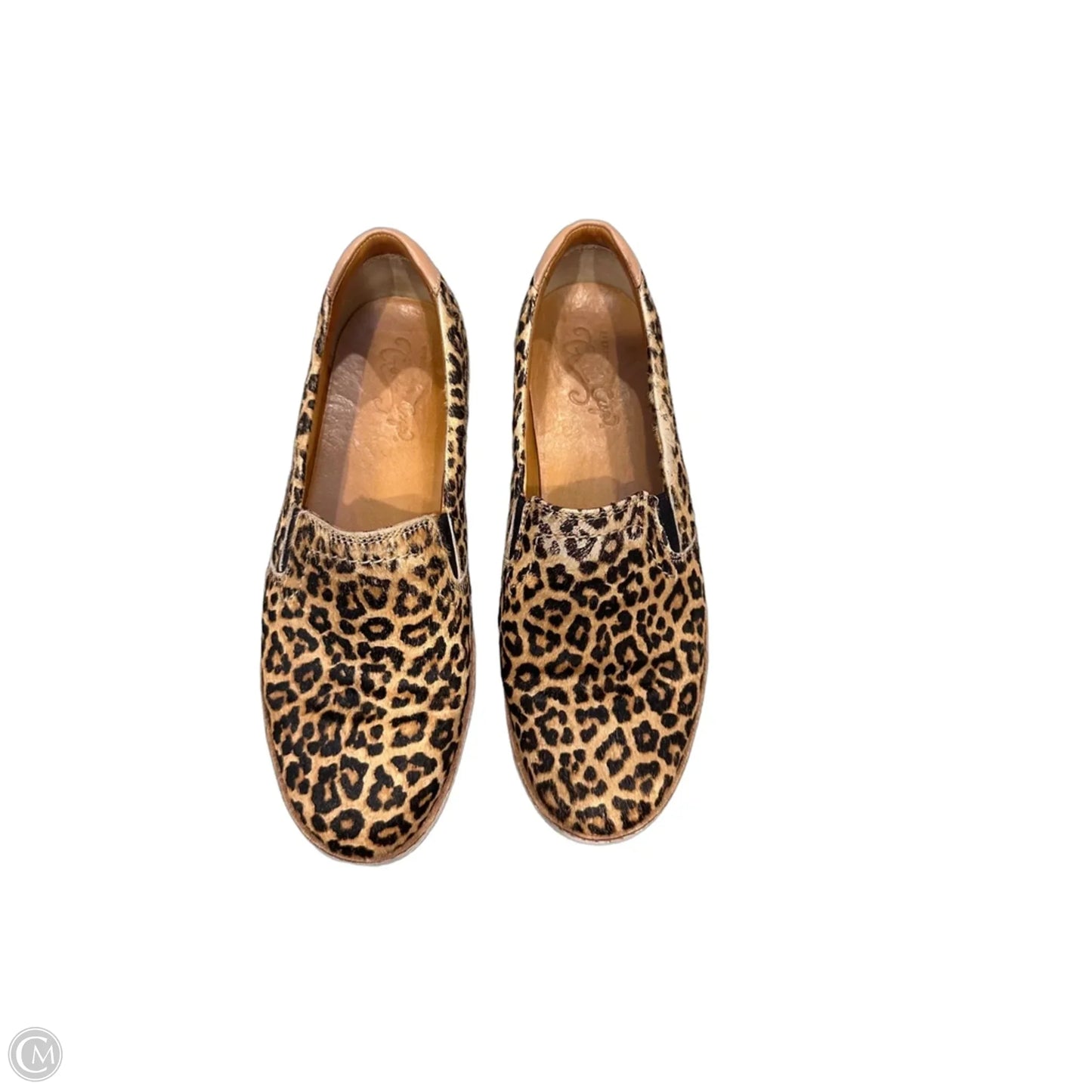 Shoes Flats By Sperry In Animal Print, Size: 7.5