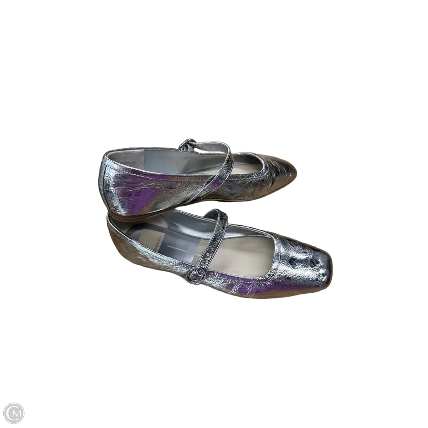 Shoes Flats By Dolce Vita In Silver, Size: 7.5