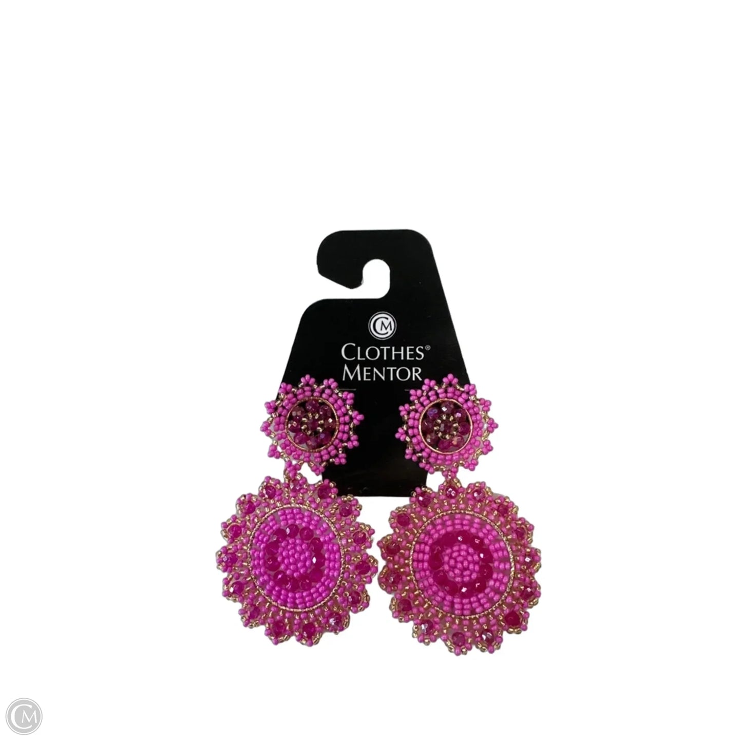 Earrings Dangle/drop By Clothes Mentor