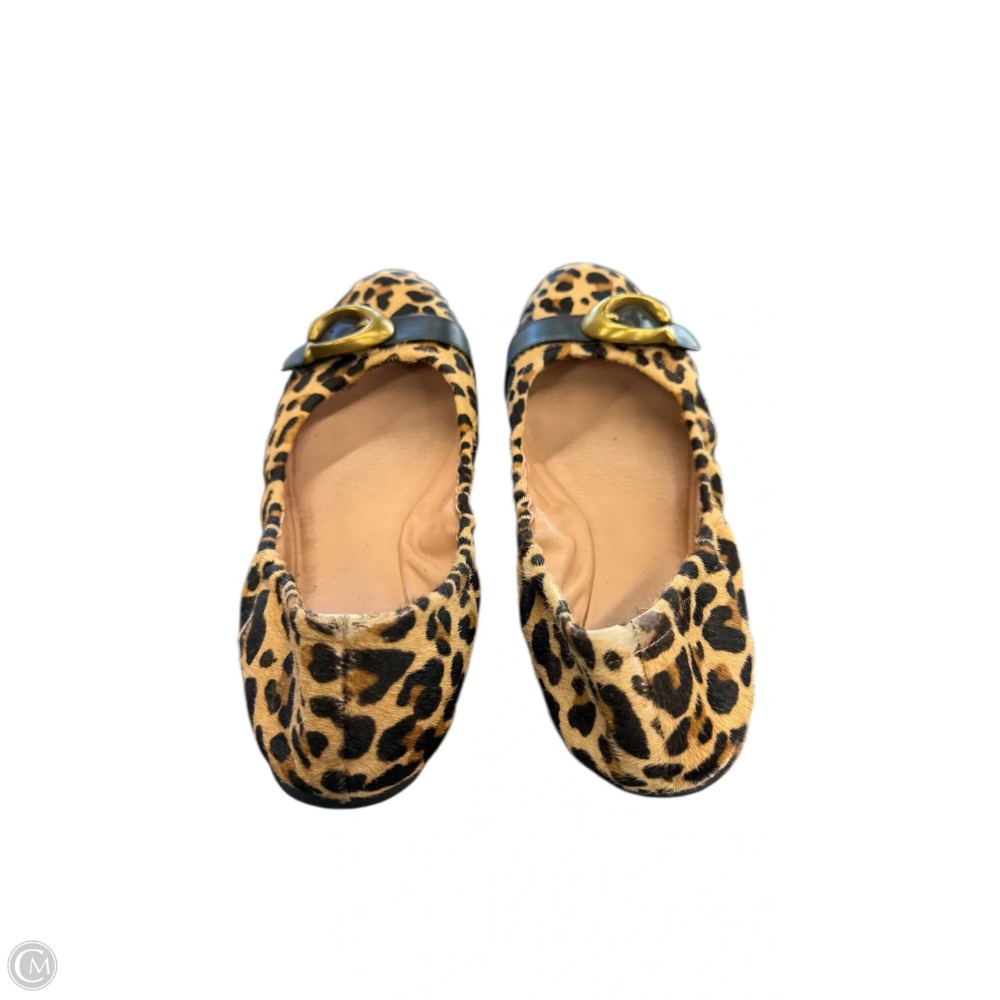 Shoes Designer By Coach In Animal Print, Size: 9.5