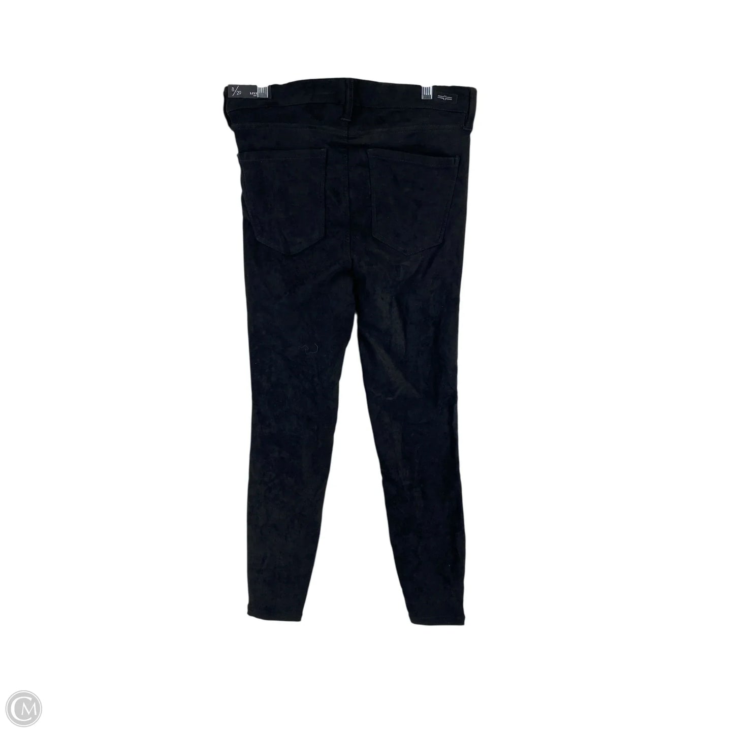 Pants Other By Liverpool In Black, Size: 8
