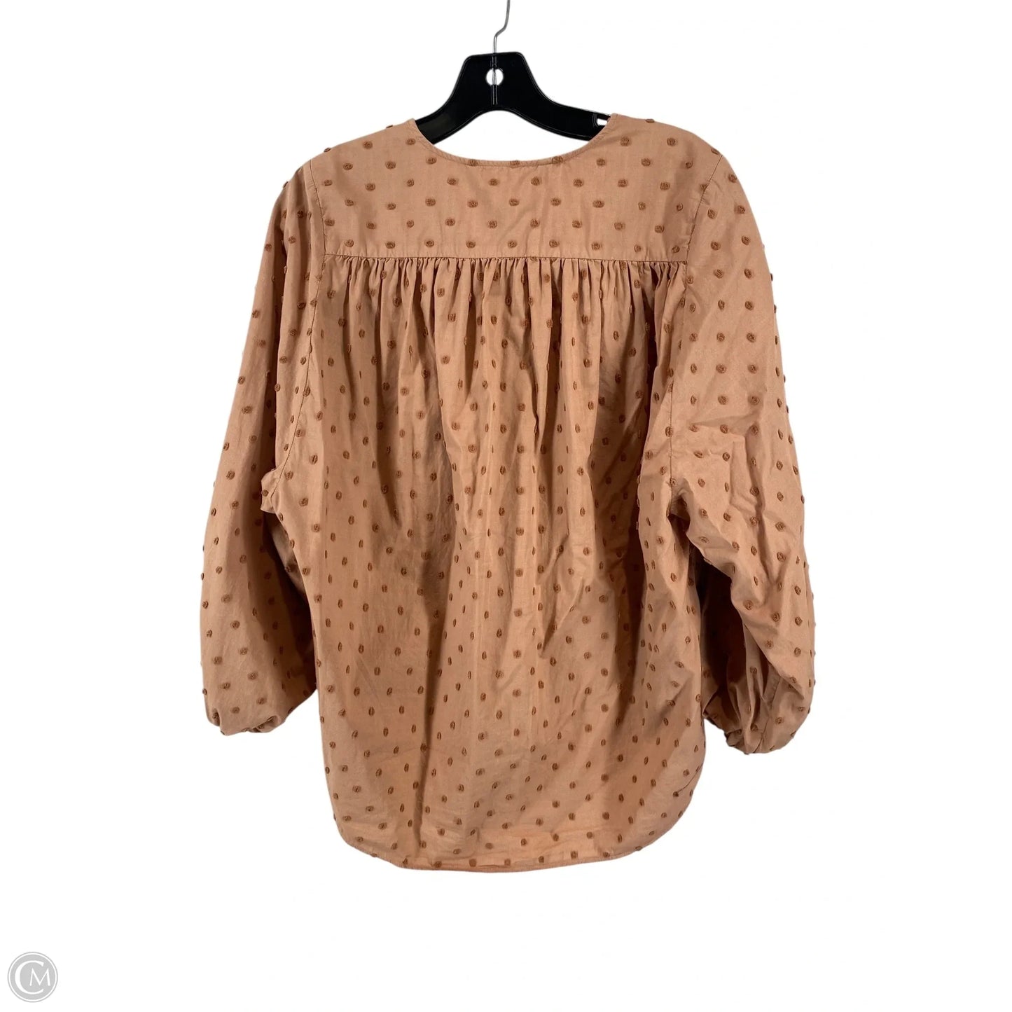 Top Long Sleeve By Zara In Brown, Size: Xs