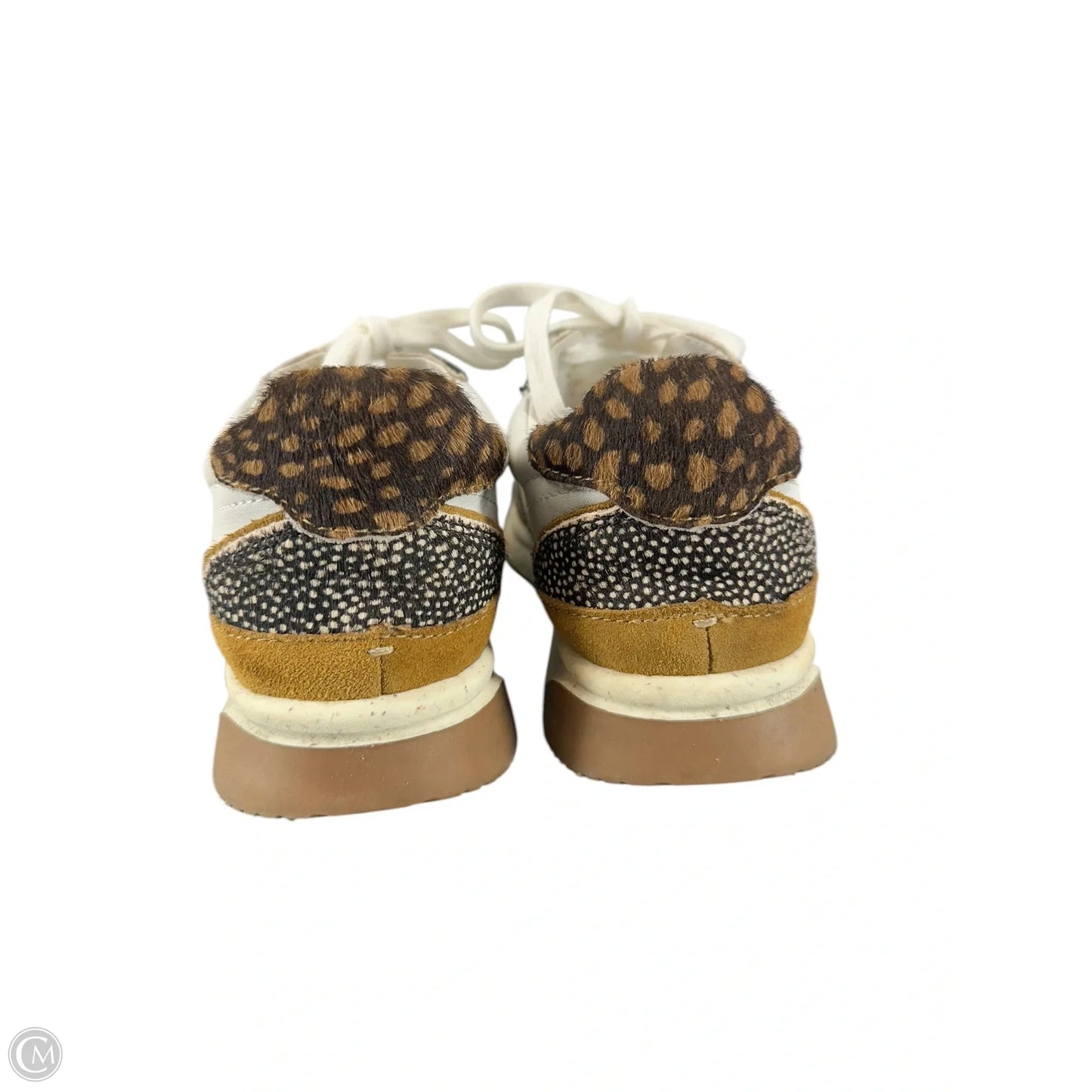 Shoes Sneakers By Madewell In Animal Print, Size: 6