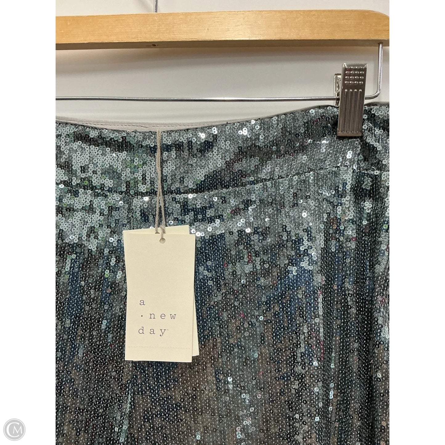 Pants Other By A New Day In Silver, Size: 10