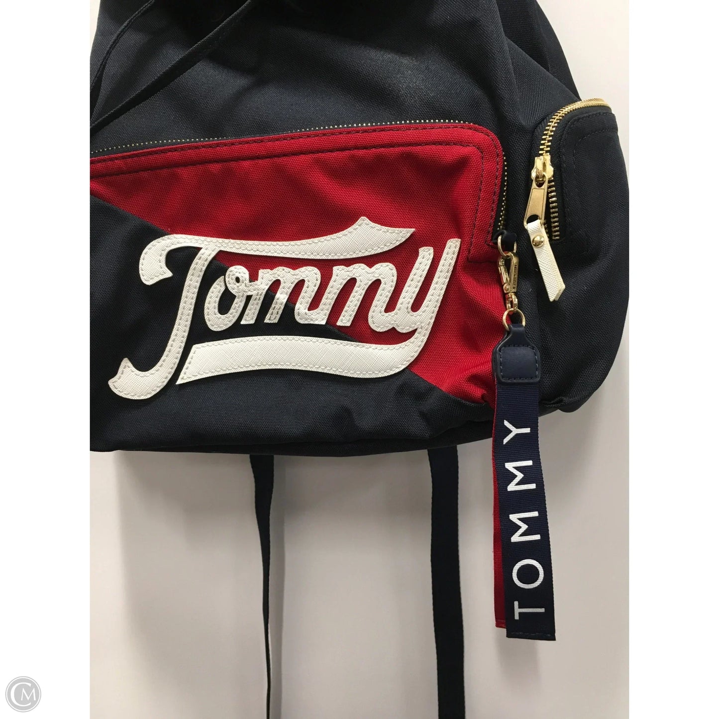 Backpack By Tommy Hilfiger, Size: Large