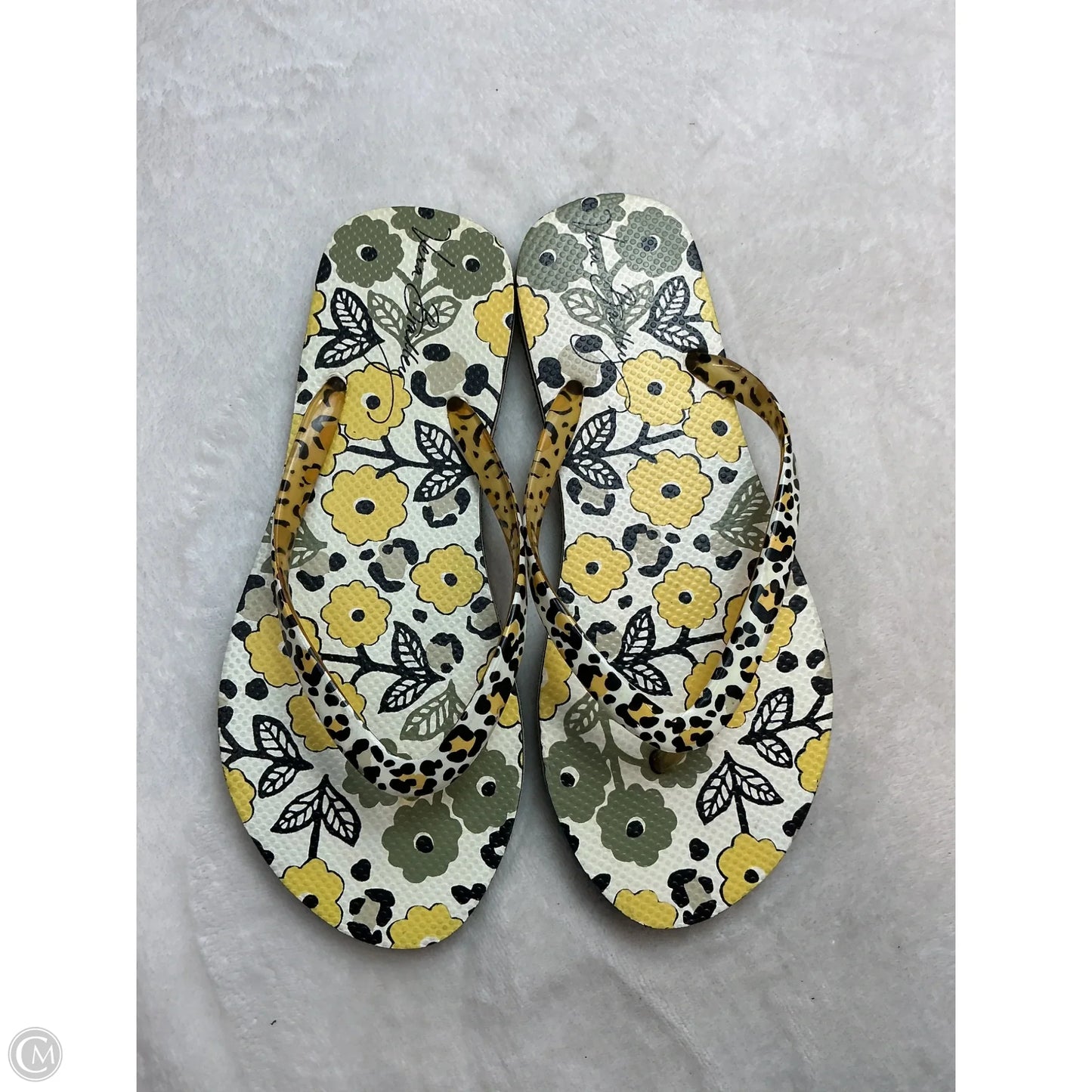 Sandals Flip Flops By Vera Bradley In Floral Print, Size: 6