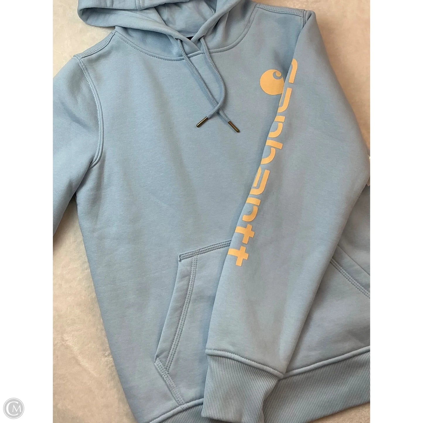 Sweatshirt Hoodie By Carhartt In Blue, Size: Xs