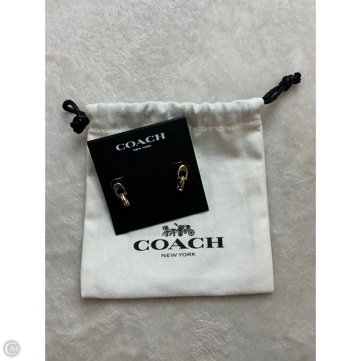 Earrings Designer By Coach