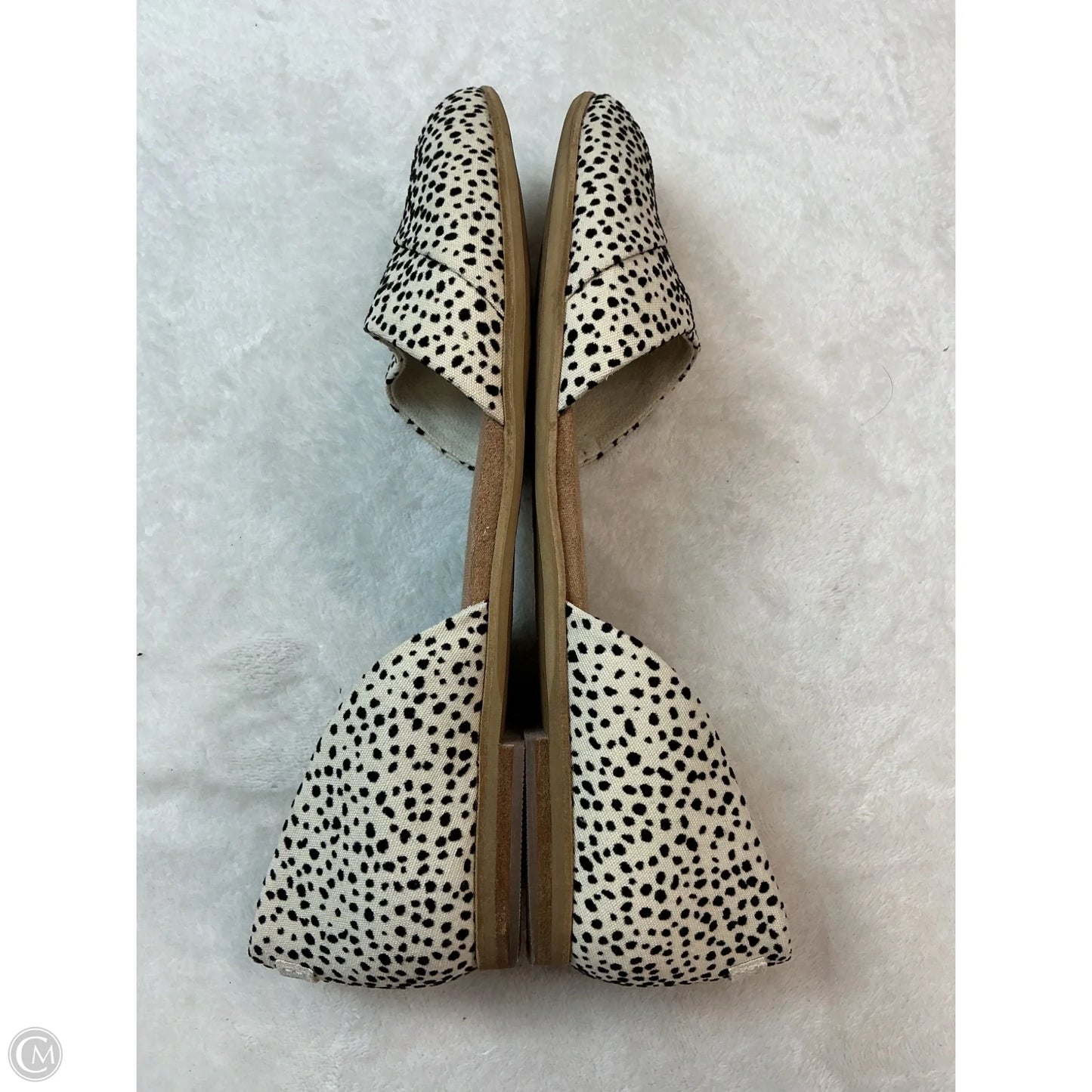 Shoes Flats By Toms In Black & Cream, Size: 9.5
