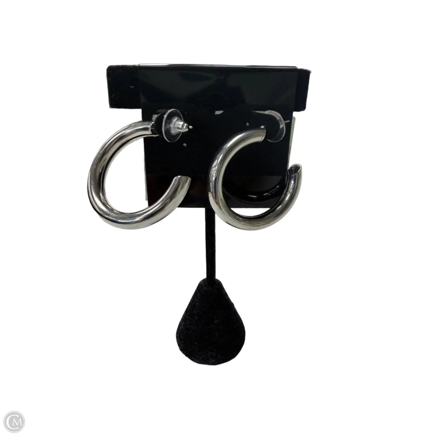 Earrings Hoop