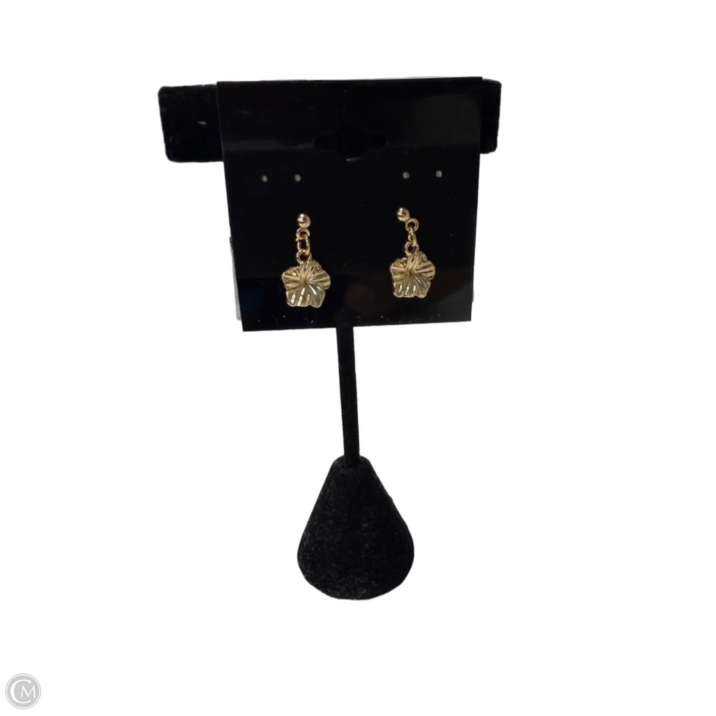 Earrings Dangle/drop