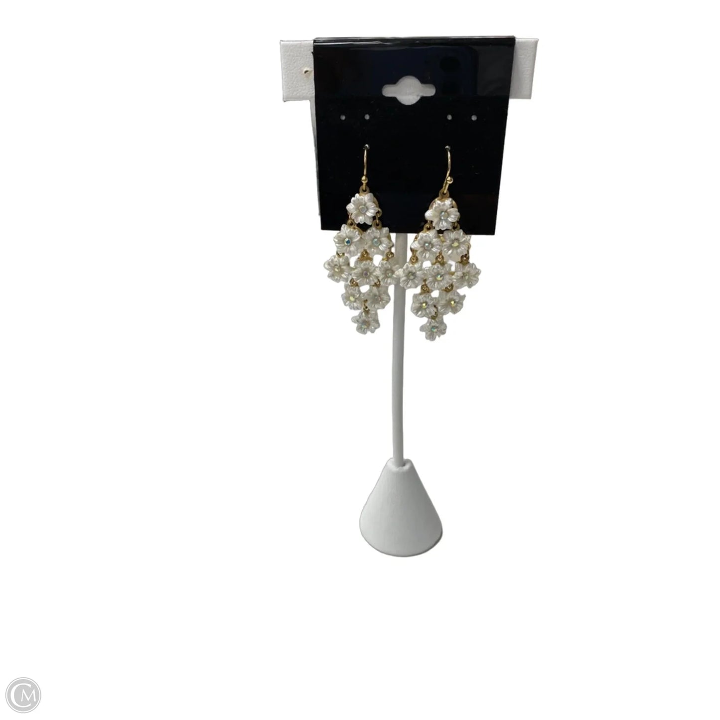 Earrings Dangle/drop