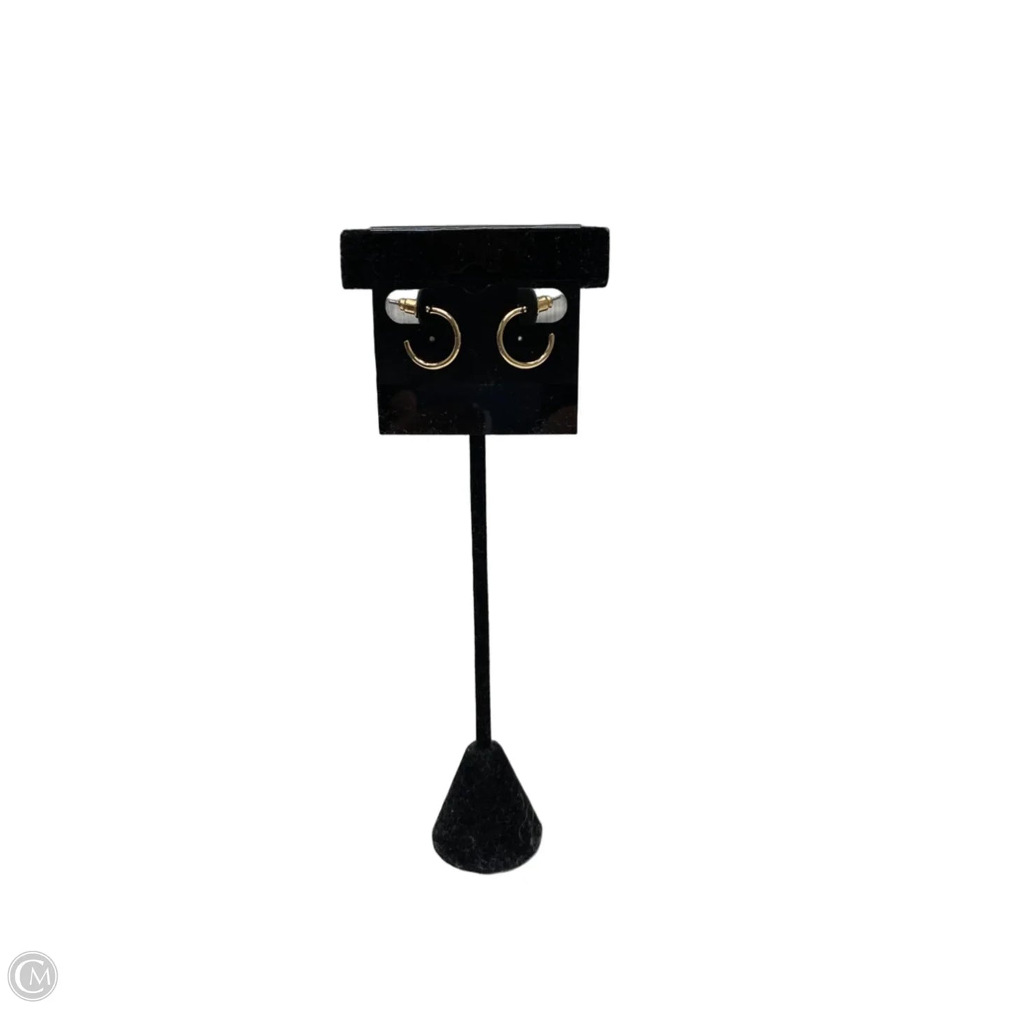 Earrings Hoop
