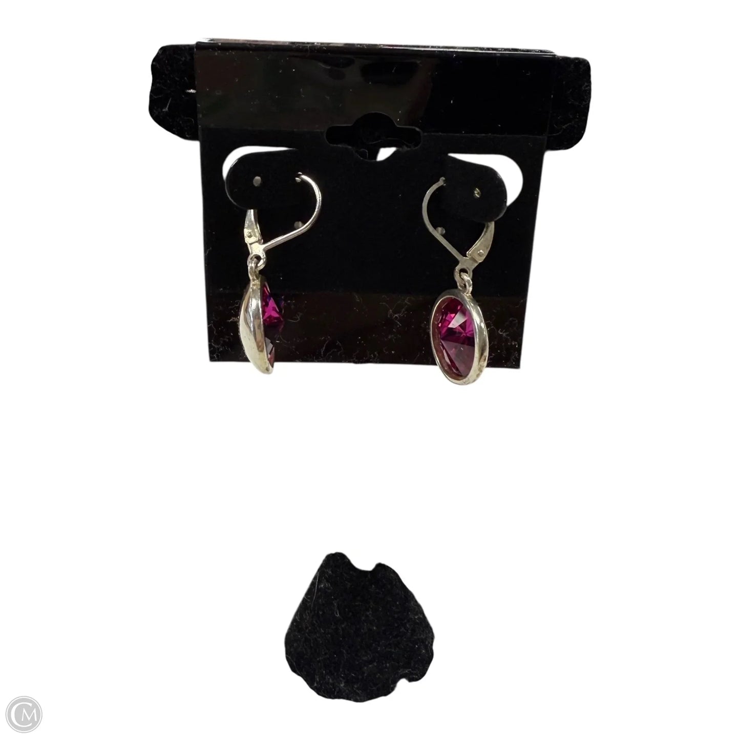 Earrings Dangle/drop