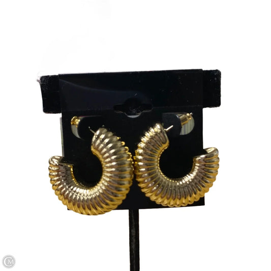 Earrings Hoop