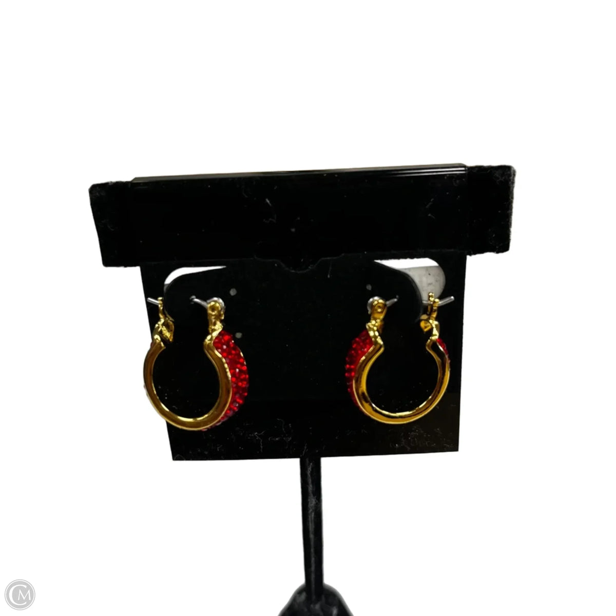 Earrings Hoop